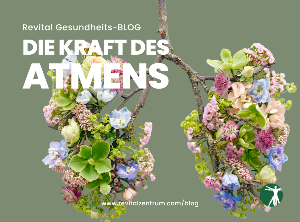 revital Gesundheits Blog - Die Kraft des Atmens - Physiotherapie & Osteopathie Hannover