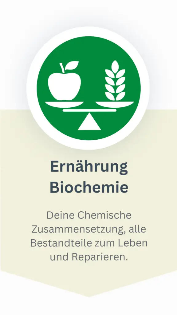 Gesundheit & Prävention PHYSIO revital | revital ZENTRUM