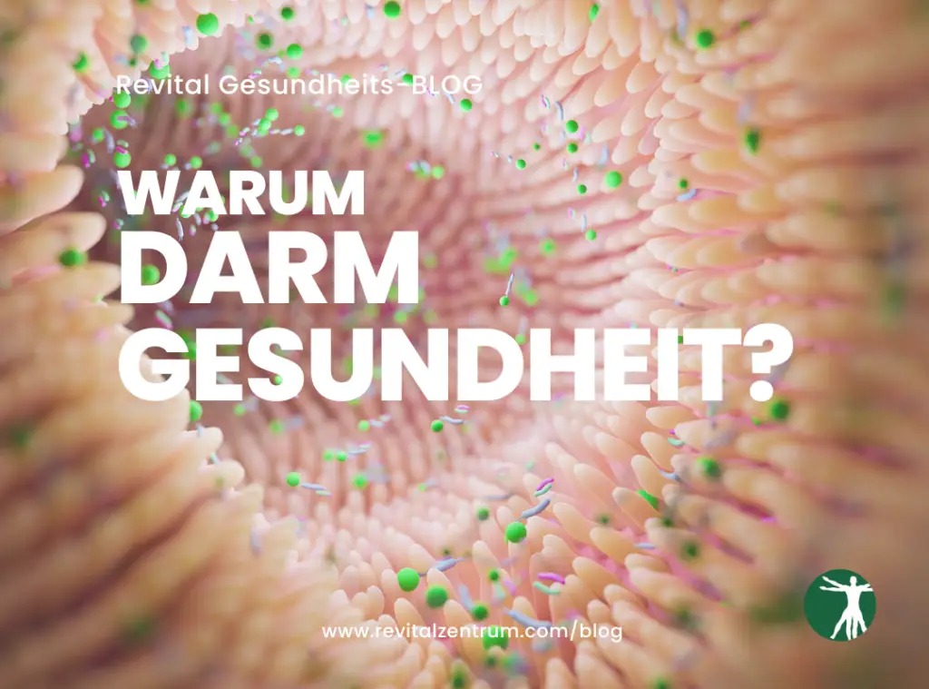 Darm gesundheit Vitalstoffanalyse Darmbakterien Blog Beitrag